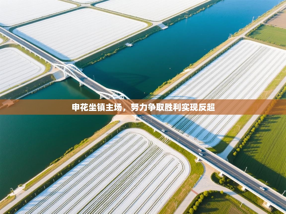 申花坐镇主场,努力争取胜利实现反超 第1张