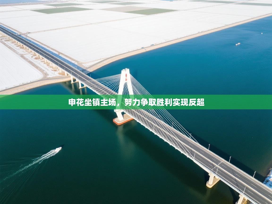 申花坐镇主场,努力争取胜利实现反超 第2张